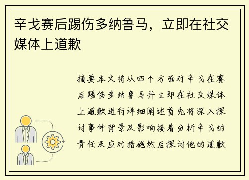 辛戈赛后踢伤多纳鲁马，立即在社交媒体上道歉